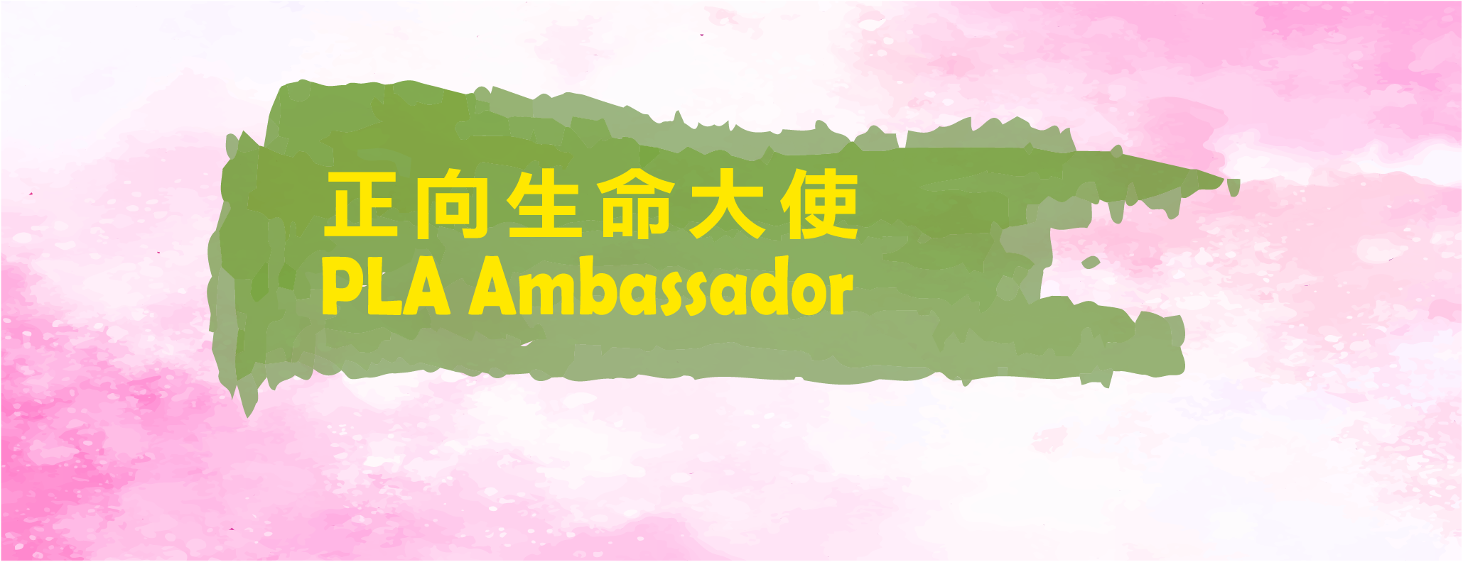 PLA Ambassador
